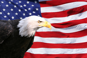 eagle_flag.jpg